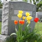 Dawise Perry Funeral Services Mandan Crematory Profile Picture