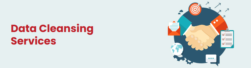 Why Database Cleansing Services Are Essential for Accurate Business Decisions? – Site Title