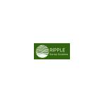 Ripple survey solutions limited Profile Picture