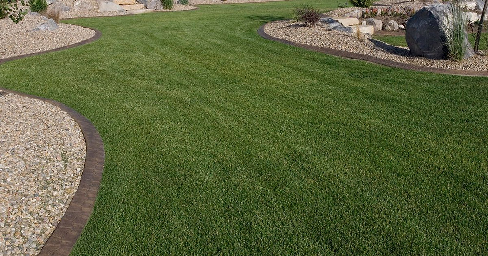 Landscape Solutions Auckland – Creating Green Spaces That Last