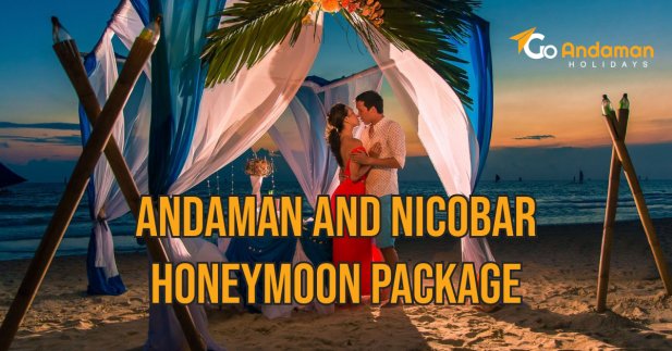 Why an Andaman and Nicobar Honeymoon Package is Perfect for Newlyweds Article - ArticleTed -  News and Articles