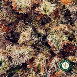 Buy Weed Online Canada: A Complete Guide to Convenience, Quality, and Safety - Idea Express