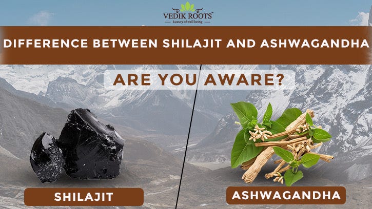 AdaptogenicHerbsDifference Between Shilajit and Ashwagandha: Are You Aware? | by Sheetal Sharma | Ayurveda Blogger | Aug, 2025 | Medium