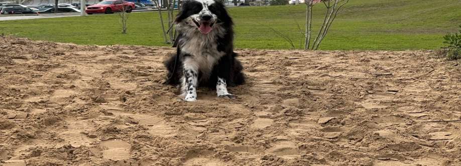Russell's K9 Academy Cover Image