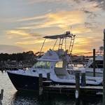 Big Shooter Fishing Charters Profile Picture