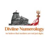 Diviine Numerology Profile Picture
