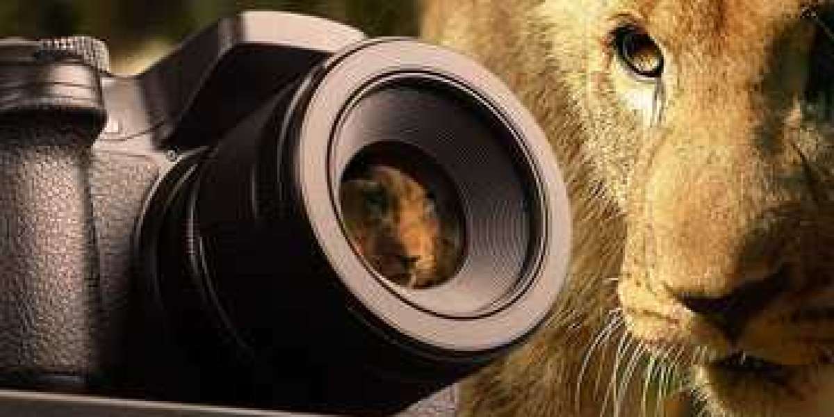 Wildlife Tour Packages India – The Sound Of Jungle