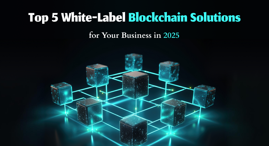 White Label Blockchain Solutions - 2025's Top Picks | Coinmonks