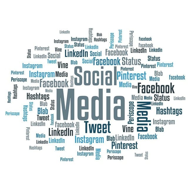 How a Social Media Agency in Delhi Can Transform Your Online Presence  – Telegraph