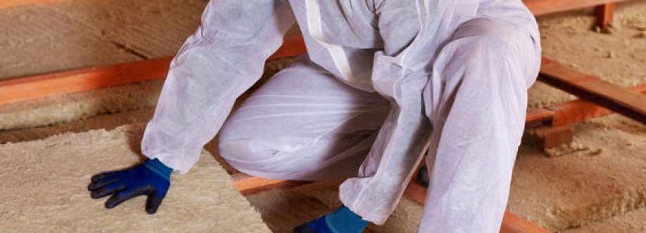 Bestway Insulation LLC Cover Image