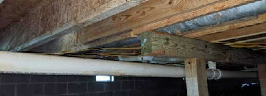 Restorable Solutions Mold Remediation Cover Image