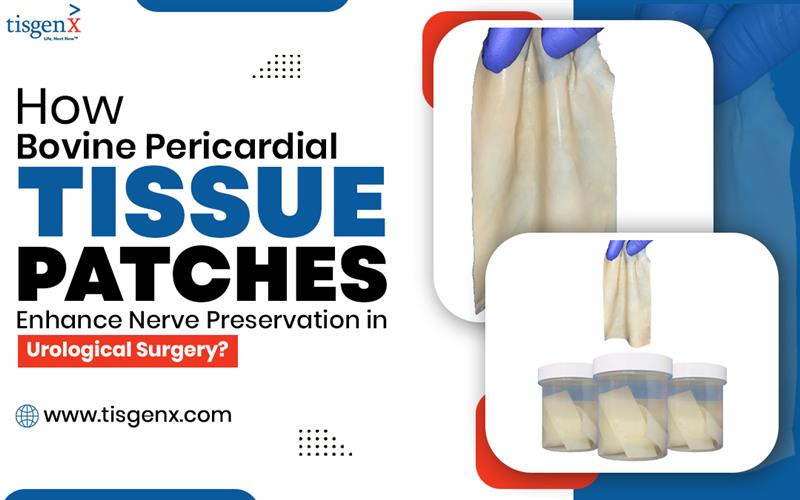 How Bovine Pericardial Tissue Patches Enhance Nerve Preservation in Urological Surgery? – Tisgenx, Inc