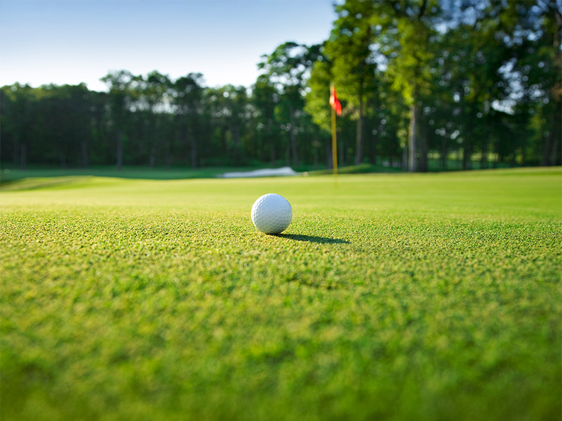 Essential Features That Define a High-Quality Putting Green Artificial Grass in Austin  – Telegraph