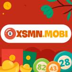 Xổ số miền Bắc XSMNMOBI Profile Picture