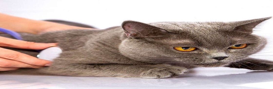 Fort Oglethorpe Pet Wellness Center Cover Image