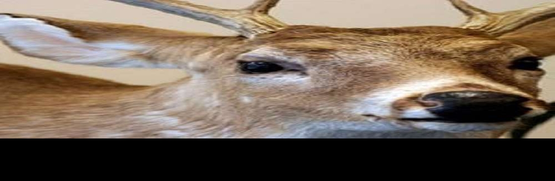 Delta Quest Taxidermy Cover Image