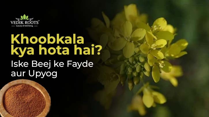 Khoobkala kya hota hai? Iske Beej ke Fayde aur Upyog – Site Title