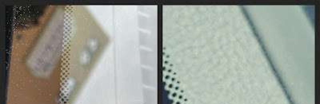 The Glass Guy Inc Cover Image