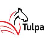 Tulpar Taxation Profile Picture