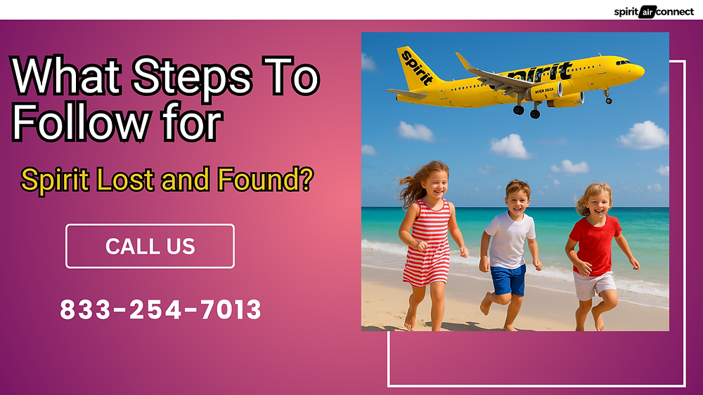 What Steps To Follow for Spirit Lost and Found?