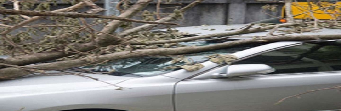 Newtown Road Quality Insurance Cover Image