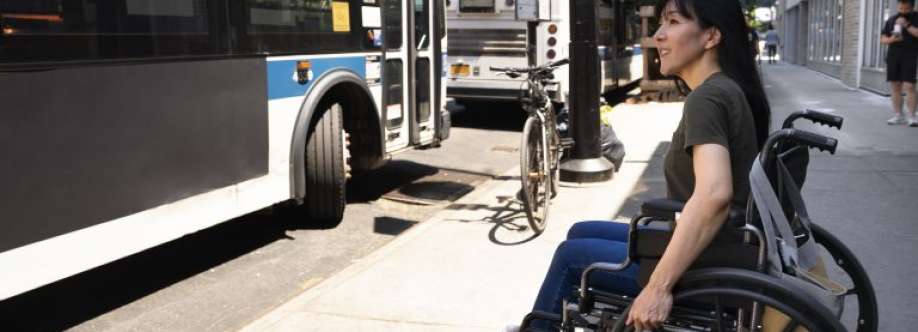 Nanas Carriage Cover Image
