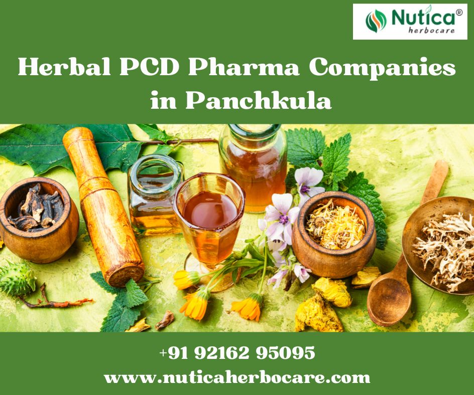 Best Herbal PCD Pharma Companies in Panchkula (2025)