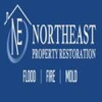 Northeast Restore Profile Picture