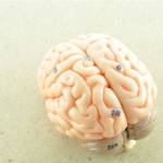 Westcoast Neurology Profile Picture