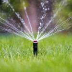 moon irrigation inc Profile Picture