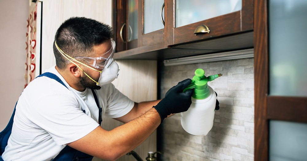 Keep Your Home Safe and Pest-Free with Reliable Solutions in the West