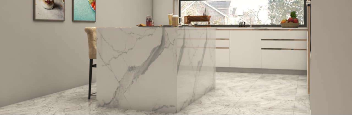 The Designs Cover Image