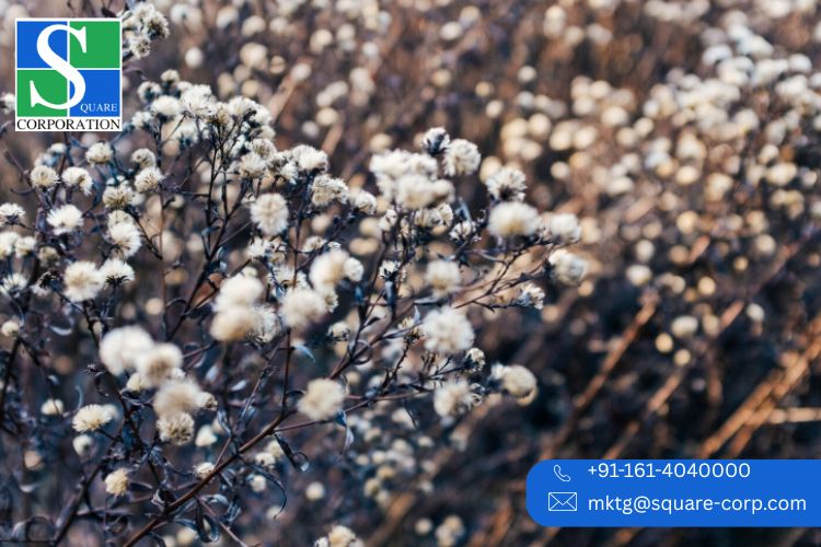 Reliable Fabric Exporters for Global Markets