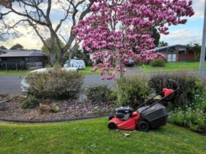 lawnsandmore.co.nz