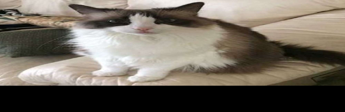 Debborah Fish Cover Image