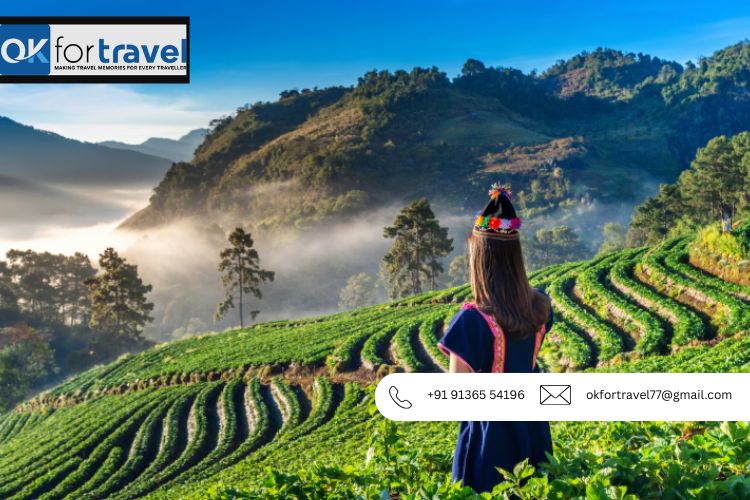 Kerala Backwaters and Hills: Nature Twin Symphony