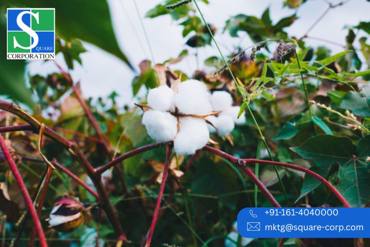 Top Spinning Units Revolutionizing Yarn Quality in India