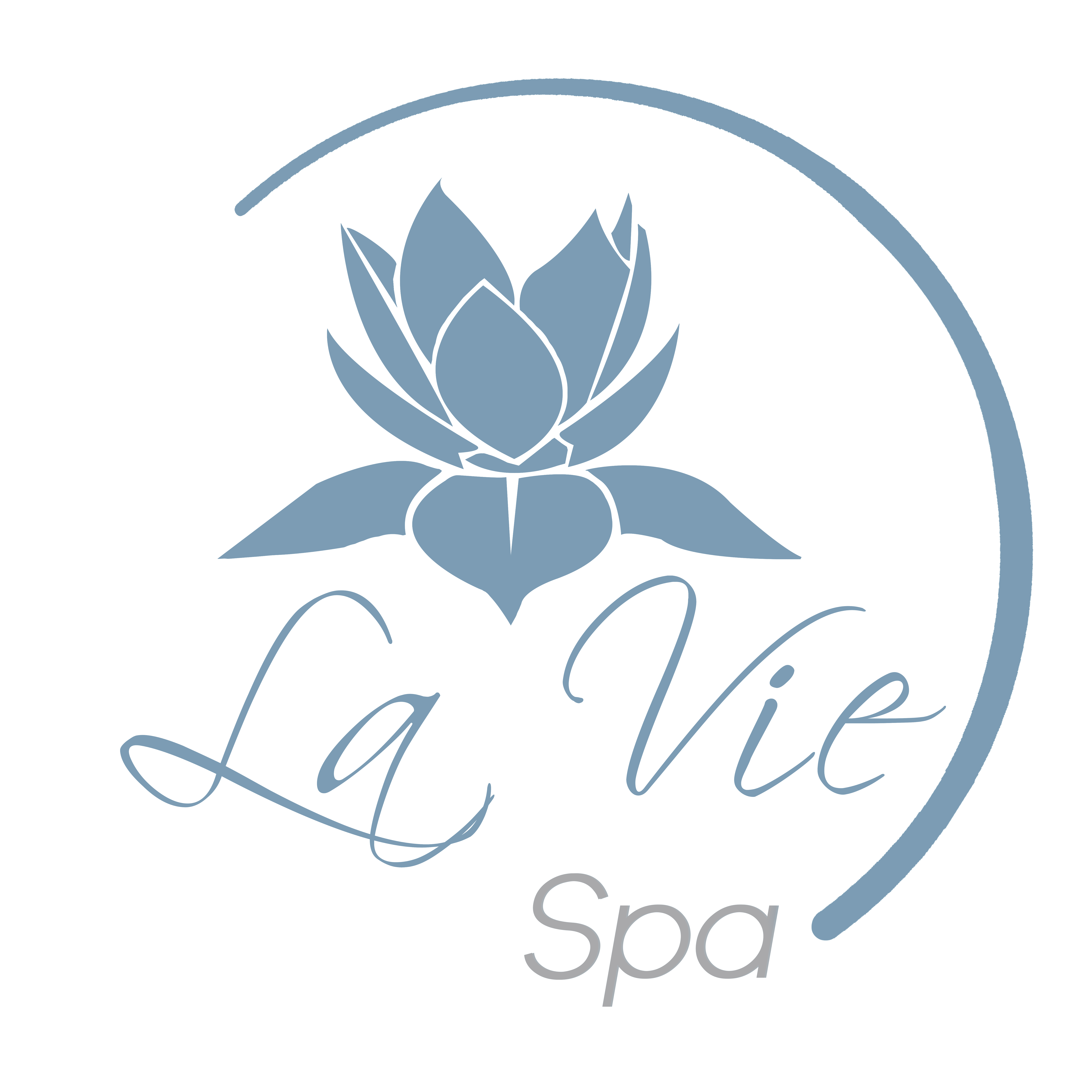 Laser Hair Removal – Large Area – La Vie Spa