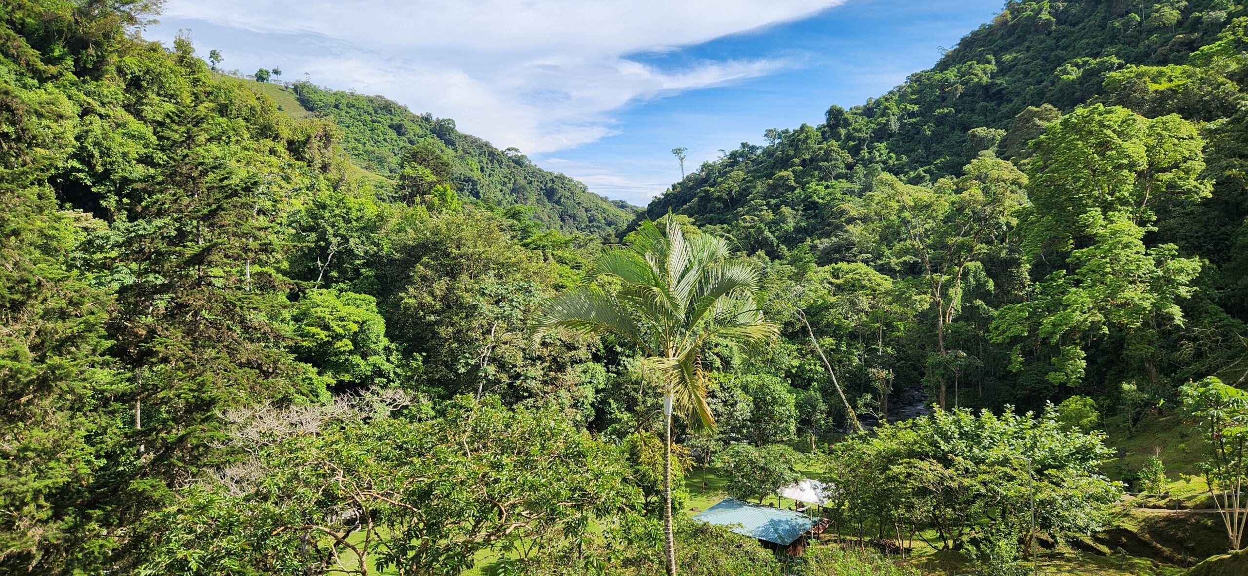 Seasonal Tips for Mountain Biking Costa Rica Trails