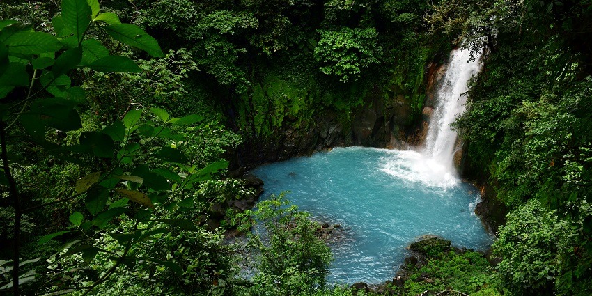 How Cloud Forest Retreats in Costa Rica Inspire Sustainability?
