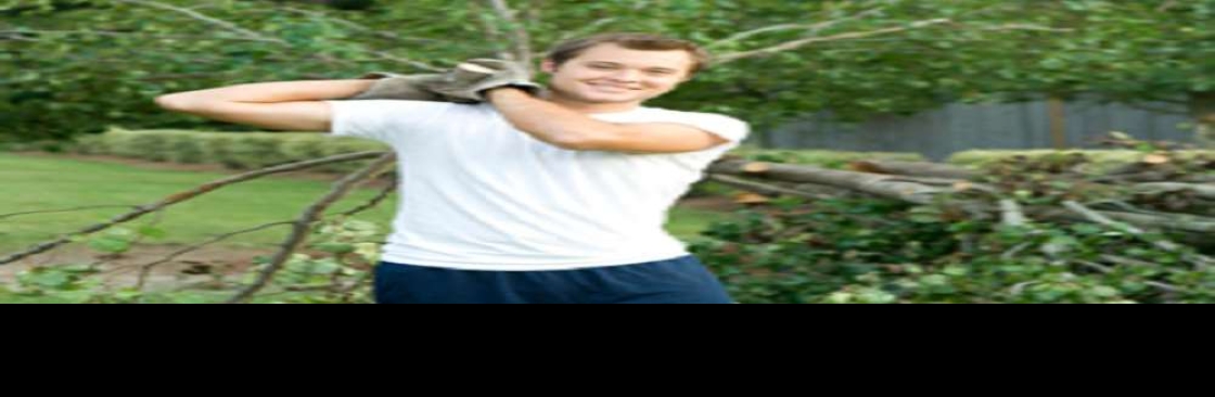 Brothers Cisco Tree Service Cover Image