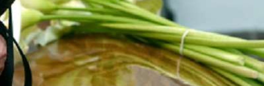 Swann Mortuary Cover Image