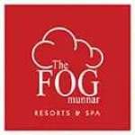 Fog Munnar Profile Picture