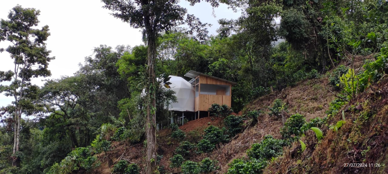 Transform Your Relationship with Food at Costa Rica Retreat