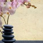 Altura Massage Therapy Profile Picture