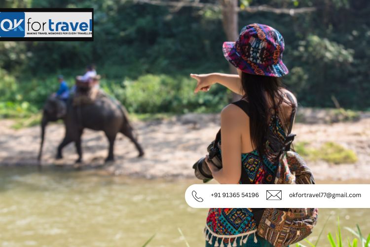 North East Adventure and Nature Tour Packages