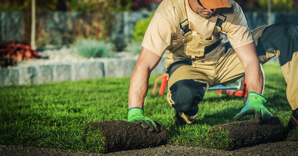 Creating Greener Spaces with Professional Landscaping Services in South Auckland