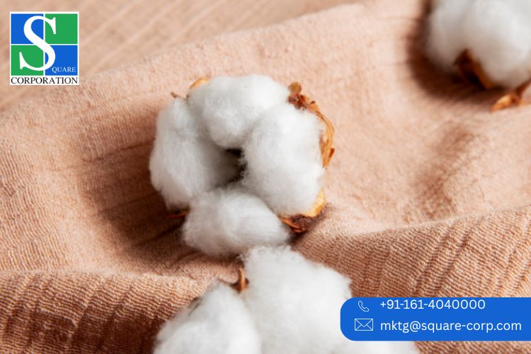 India Finest: Top Merino Wool Yarn Manufacturers 2025