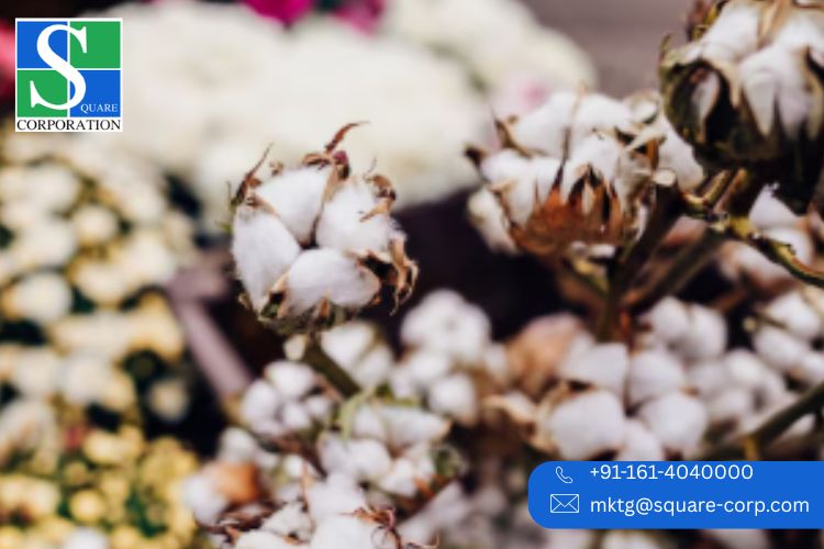 India Eco Leaders: Top Recycled Polyester Fabric Makers