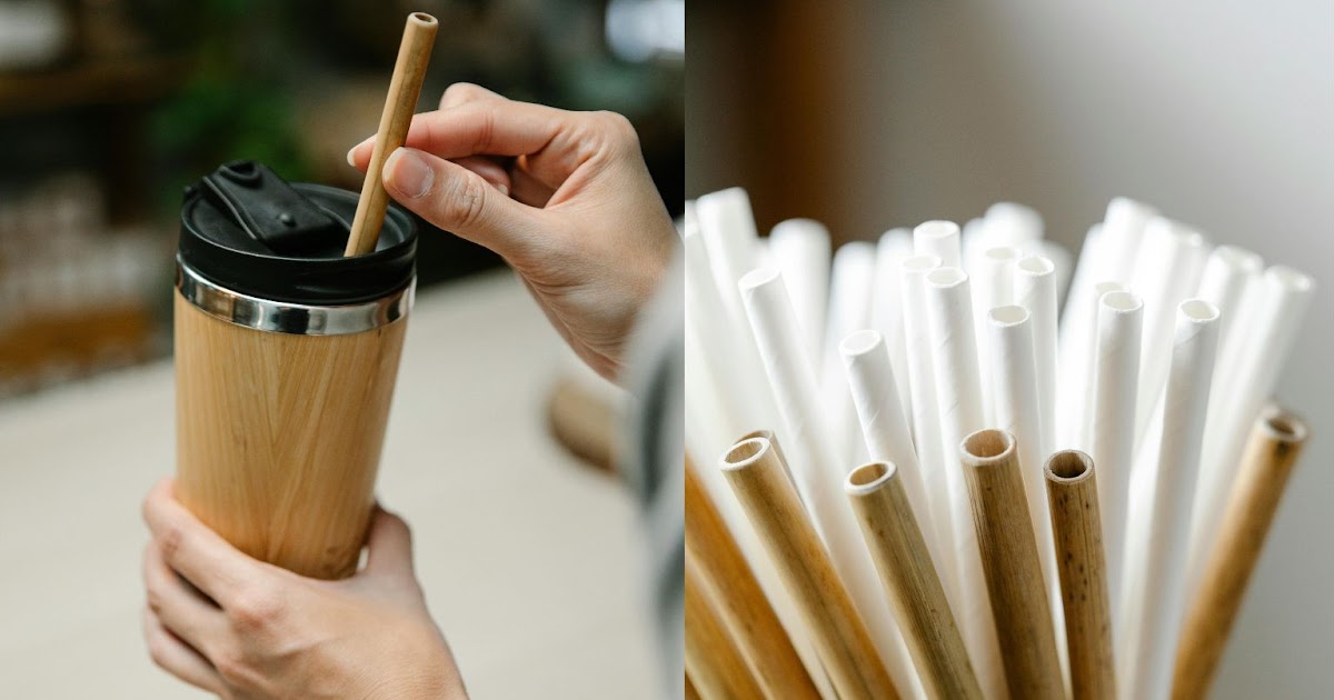Travel-Friendly Eco Friendly Straws for Conscious Explorers